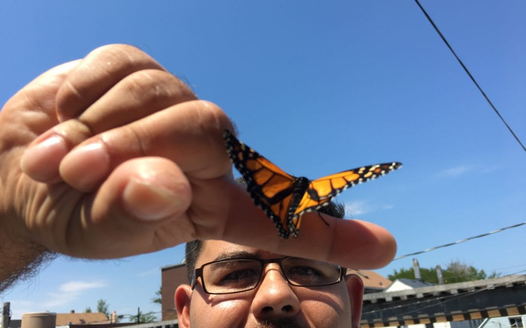 El Valor 2017 Butterfly Release