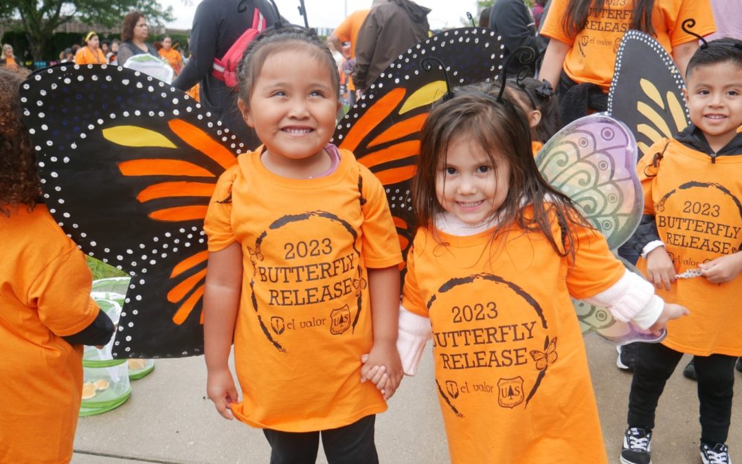 Monarch Butterfly Conservation