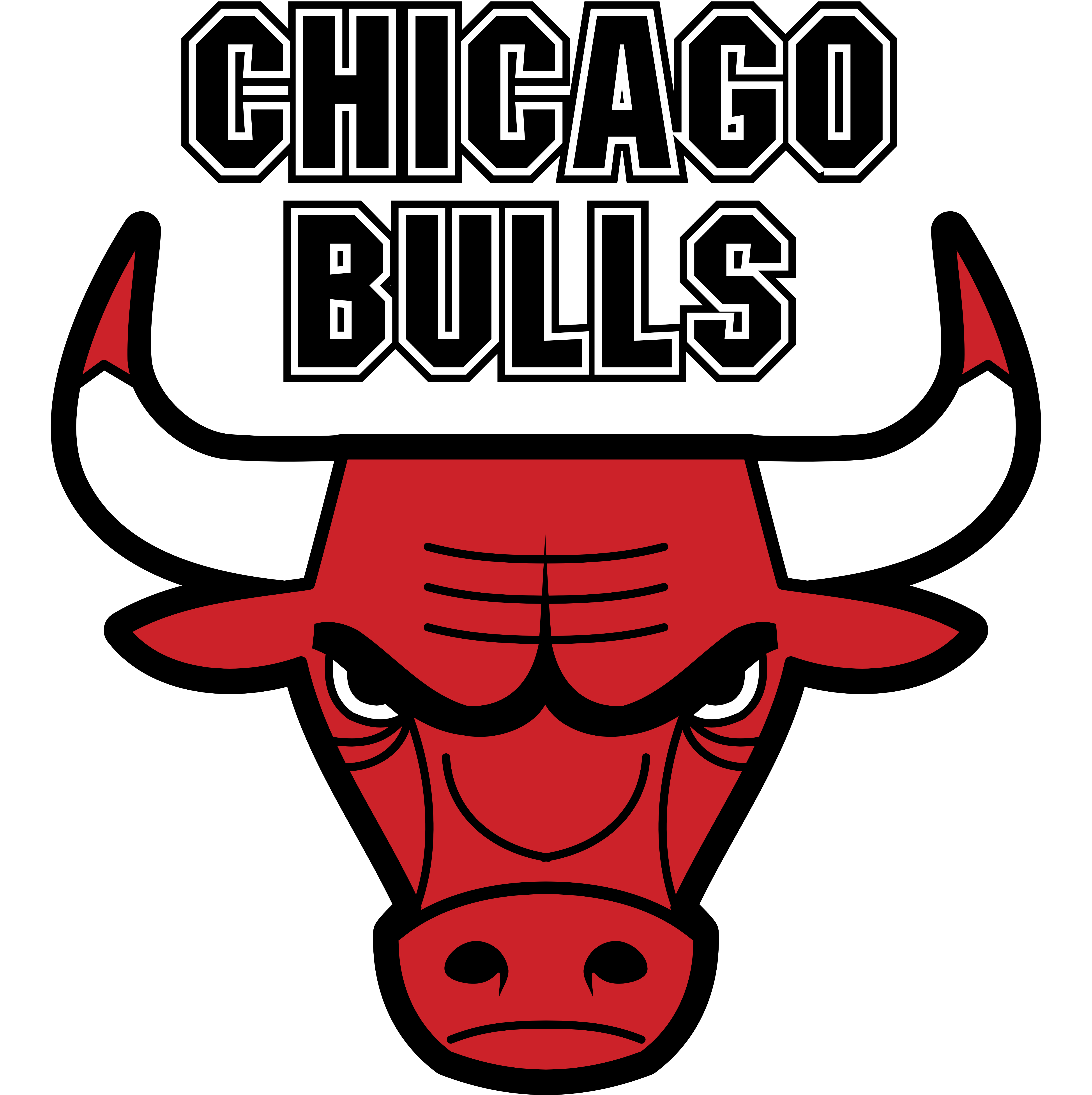 Chicago Bulls